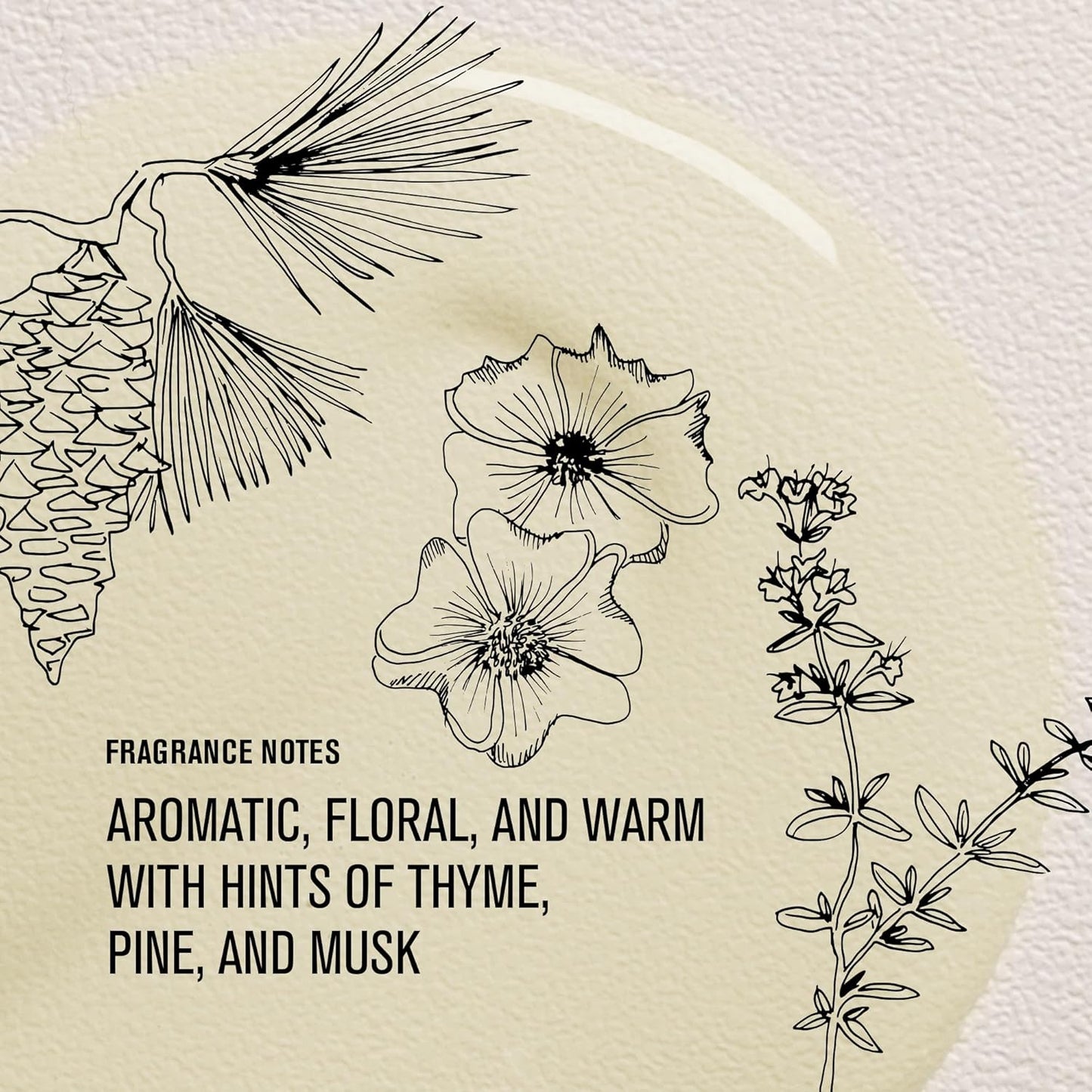 davines oi oil bombshell collar city salon and suites troy ny