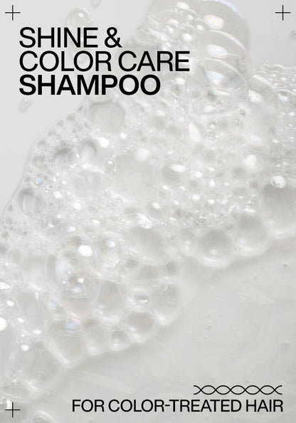 Redken Acidic Color Gloss Shampoo & Conditioner Duo