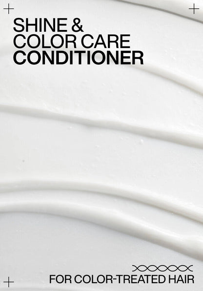 Redken Acidic Color Gloss Shampoo & Conditioner Duo