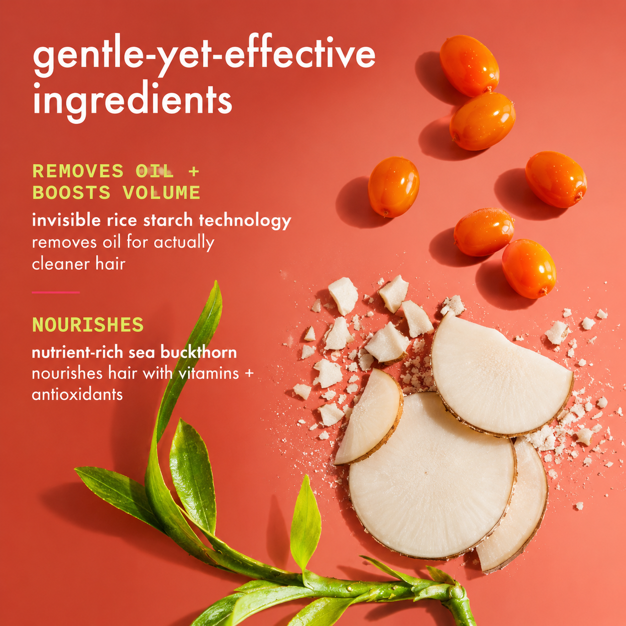 Amika x Ellis Brooklyn Guava Granita Perk Up Dry Shampoo