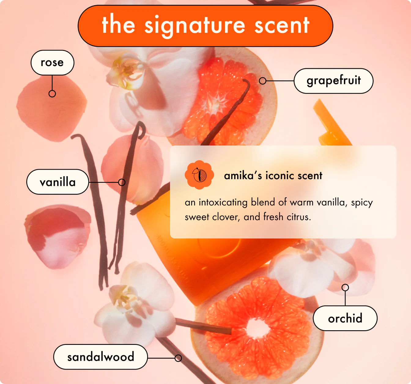 Amika Big Hit signature scent with notes of vanilla grapefruit orchid and sandalwood