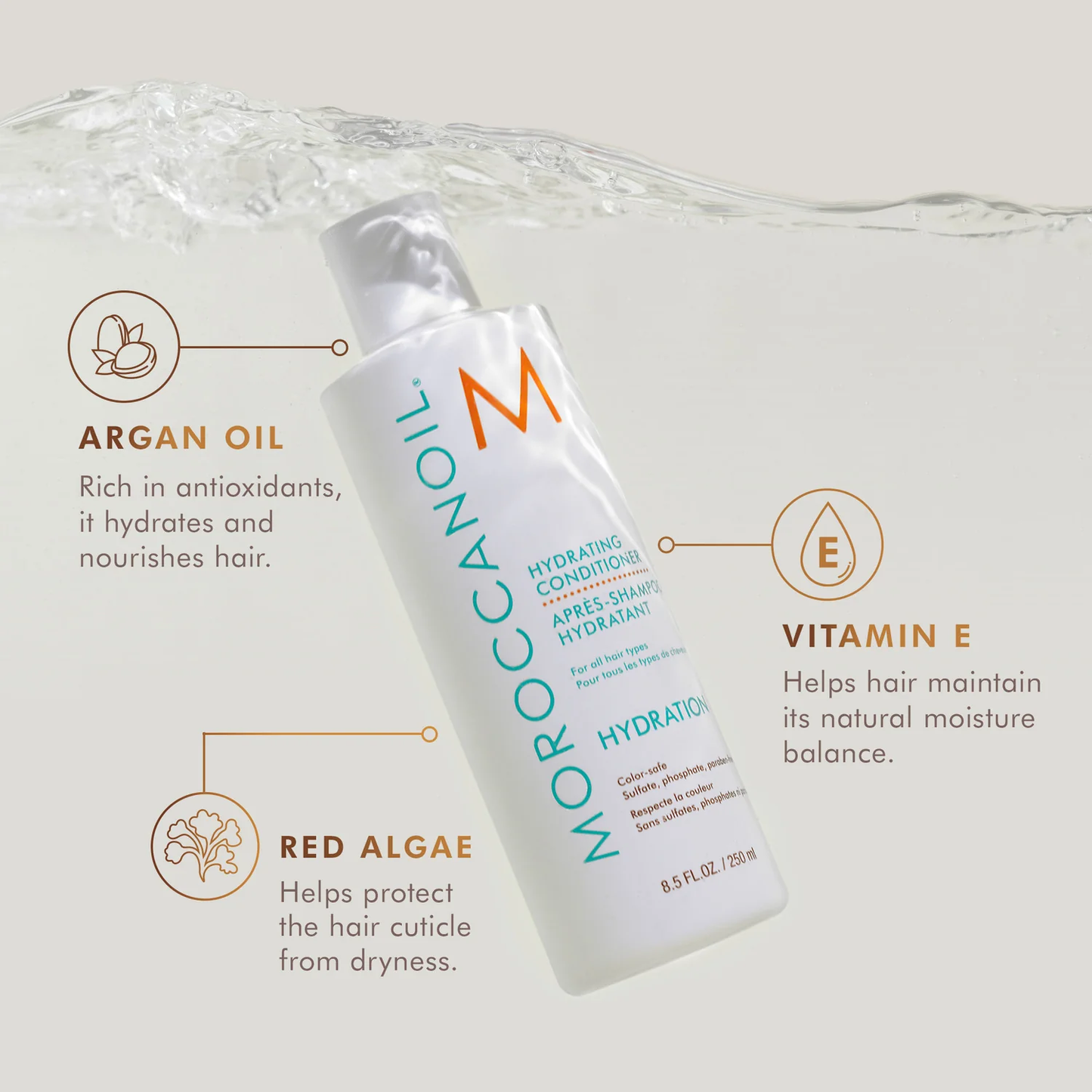 Moroccanoil Hydrating Conditioner with argan oil red algae and vitamin E to hydrate soften and protect hair from dryness
