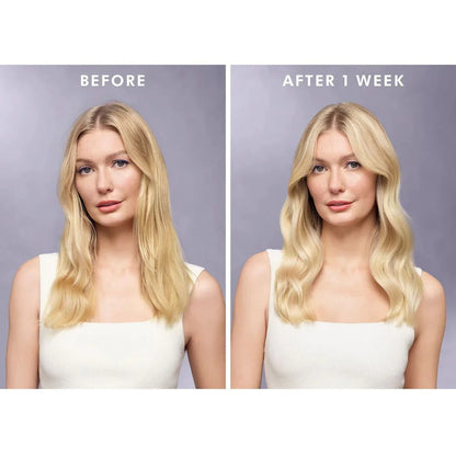 Moroccanoil Treatment Purple - Bombshell Hair Studio